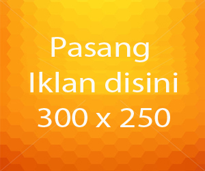 banner 300x250